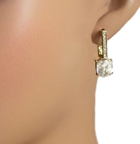 See More. Do More. Earrings (gold) model